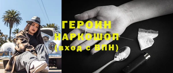 индика Снежногорск