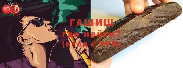 индика Снежногорск
