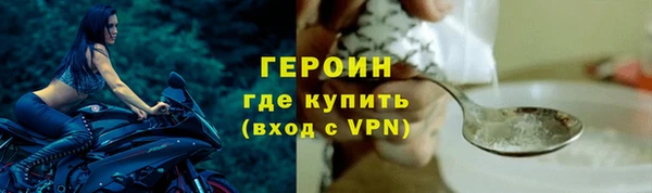 индика Снежногорск