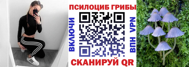 Галлюциногенные грибы мицелий Темников
