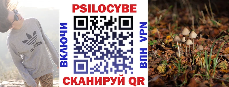 блэк спрут ссылка  Темников  Галлюциногенные грибы Cubensis 